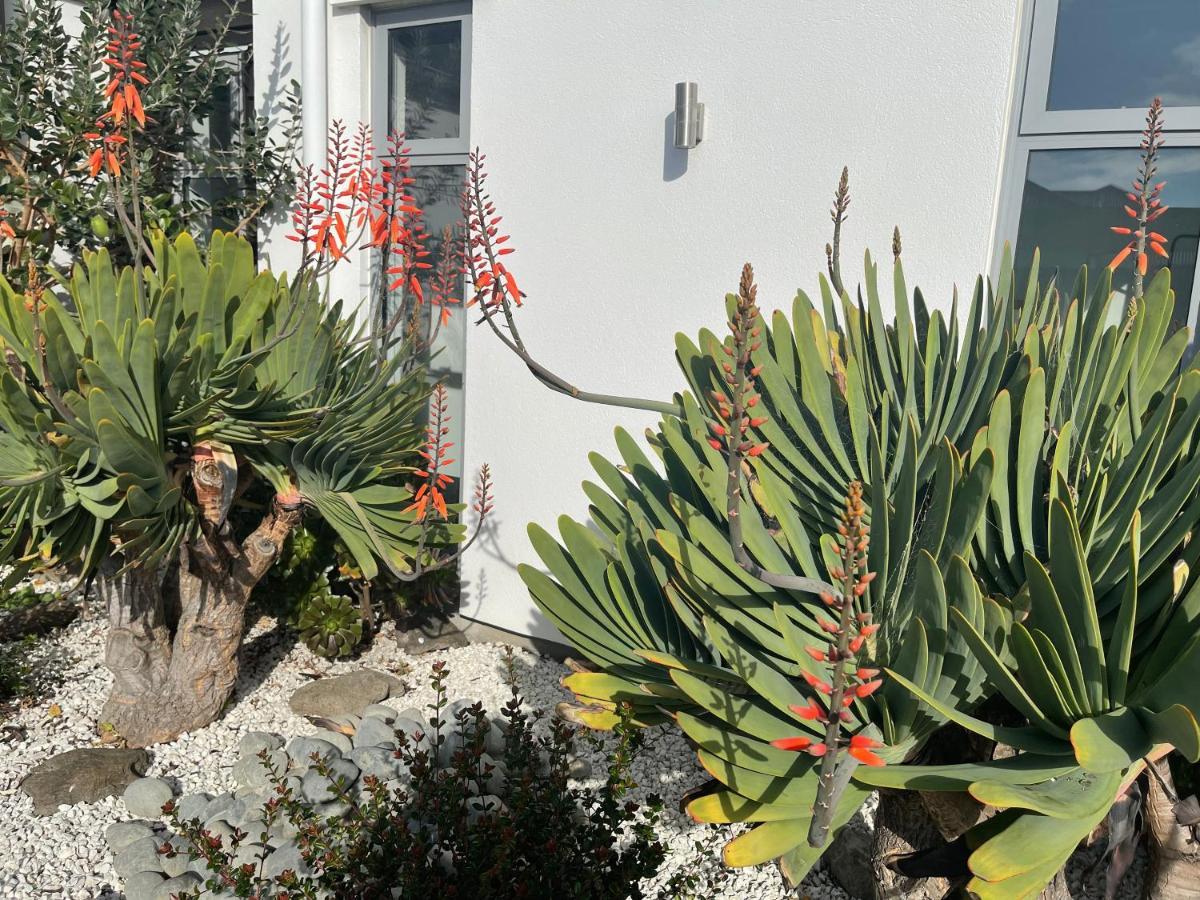 Stunning Park Side Holiday Home كريستتشيرش المظهر الخارجي الصورة